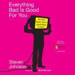 Everything Bad is Good for You, Steven Johnson