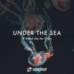 Under the Sea A World Like No Other, Seeker