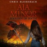 Aja Minor Fountain of Youth, Chris Bliersbach