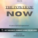 Summary The Power of Now, Brooks Bryant