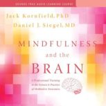 Mindfulness and the Brain, Daniel Siegel, MD