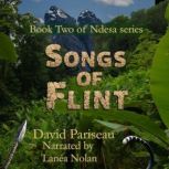 Songs of Flint, David Pariseau