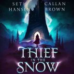 Thief in the Snow, Seth Hansen