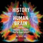 A History of the Human Brain From the Sea Sponge to CRISPR, How Our Brain Evolved, Bret Stetka