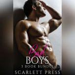 Bad Boys 3 Book Bundle, Scarlett Press