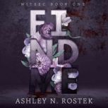 Find Me, Ashley N. Rostek