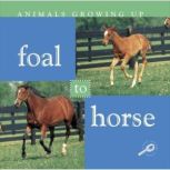 Foal to Horse, Lynn Stone