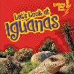 Lets Look at Iguanas, Judith JangoCohen