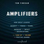 Amplifiers, Tom Finegan