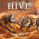 Heart of the Hive, Hilary Kearney