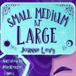 Small Medium at Large, Joanne Levy