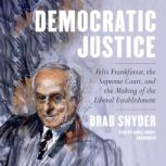 Democratic Justice, Brad Snyder