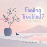 Feeling Troubled?, Zorica Gojkovic PhD