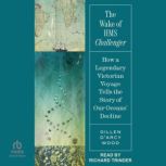 The Wake of HMS Challenger, Gillen DArcy Wood