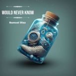 Would Never Know, Samuel Diaz