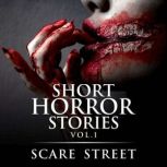 Short Horror Stories Vol. 1, Scare Street