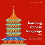 Learning the Chinese Language, Rui Zhi Dong