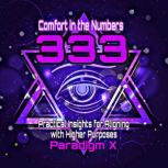 Comfort in the Numbers  333 Practic..., Paradigm X