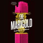 The Marigold, Andrew F. Sullivan