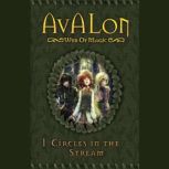 Avalon Web of Magic Book 1, Rachel Roberts