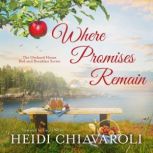 Where Promises Remain, Heidi Chiavaroli