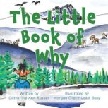 The Little Book Of Why, Catherine Ann Russell