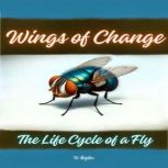 Wings of Change, Tee Bogitini