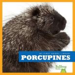 Porcupines, Mari Schuh