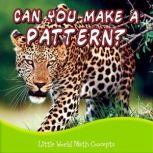 Can You Make a Pattern?, Lin Picou