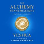 The Alchemy Transmissions, Carissa Schumacher