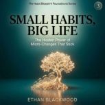 Small Habits, Big Life, Ethan Blackwood