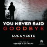 You Never Said Goodbye, Luca Veste