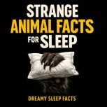 Strange Animal Facts for Sleep, Dreamy Sleep Facts