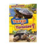Turtle or Tortoise?, Kirsten Chang