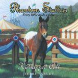 Phantom Stallion, Terri Farley