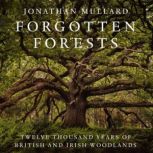 Forgotten Forests, Jonathan Mullard