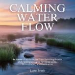 Calming Water Flow, Luna Brook