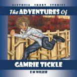 The Adventures of Gamrie Tickle Aletheia Short Stories, Eunice Wilkie