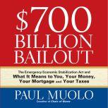 700 Billion Bailout, Paul Muolo