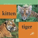 Kitten to Tiger, Lynn Stone