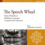The Speech Wheel, Joe Loizzo