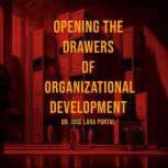 Opening the Drawers of Organizational..., Jose Gerardo Lara Portal