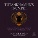 Tutankhamuns Trumpet, Toby Wilkinson