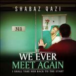 If We Ever Meet Again, Shabaz Qazi