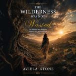 The Wilderness Was Not Wasted, Aviela Stone