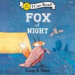 Fox at Night, Corey R. Tabor