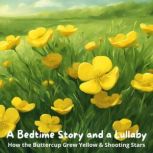 A Bedtime Story and a Lullaby How th..., Abbie Phillips Walker