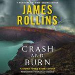 Crash and Burn, James Rollins