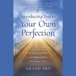 Introducing You to Your Own Perfectio..., Akash Sky