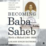 Becoming Babasaheb, Aakash Singh Rathore